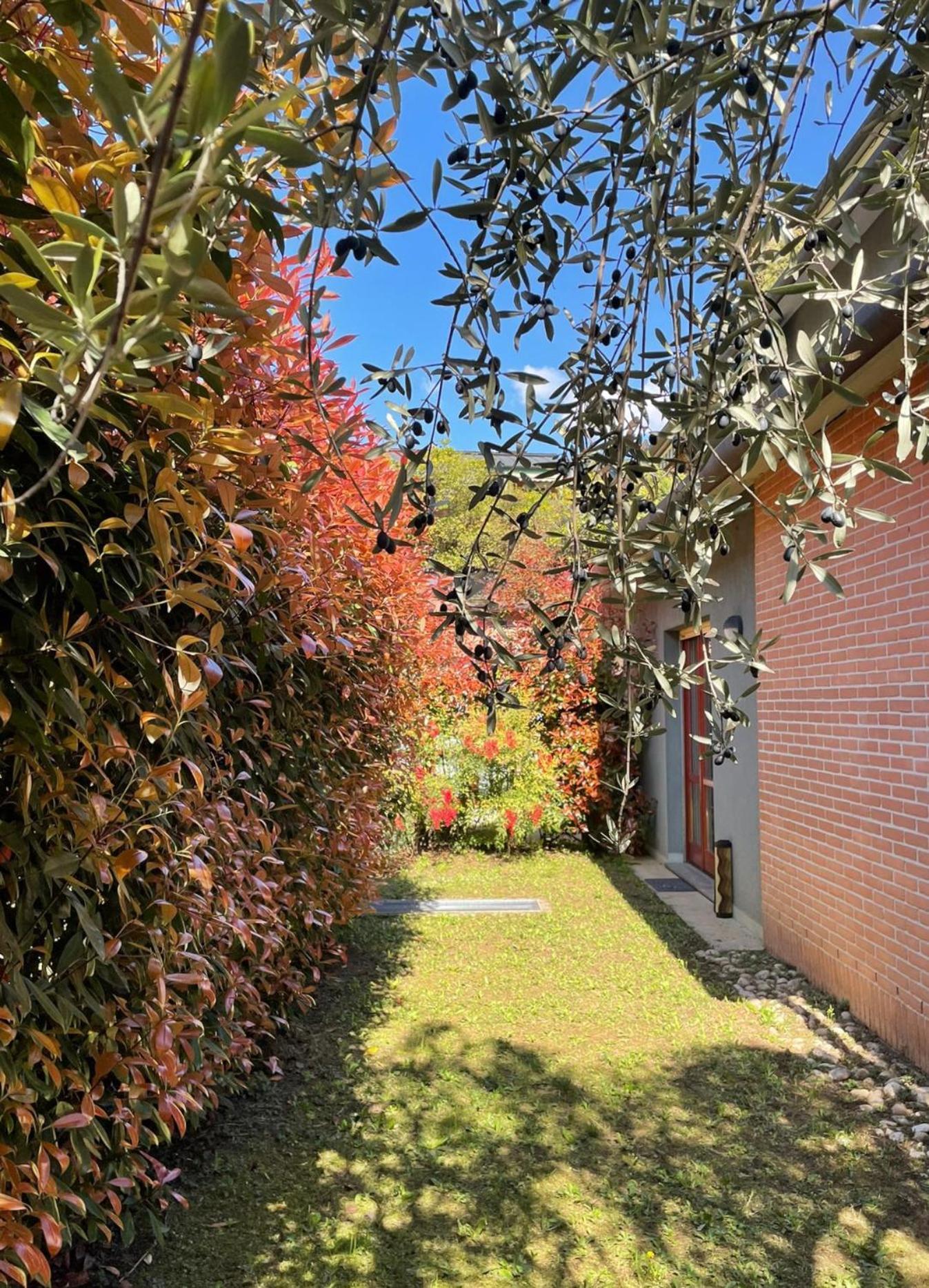 L'Ulivo Di Como Apartment Exterior photo